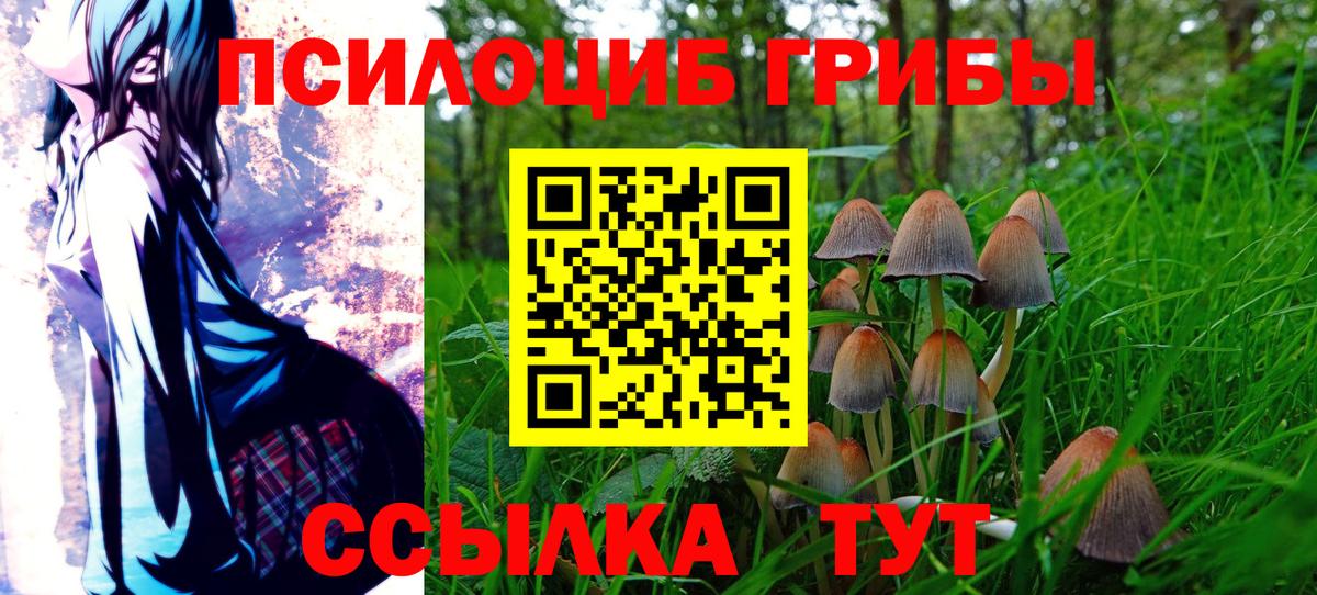 Мариинск  Галлюциногенные грибы ЛСД  Вход с VPN  Галлюциногенные грибы GOLDEN TEACHER 