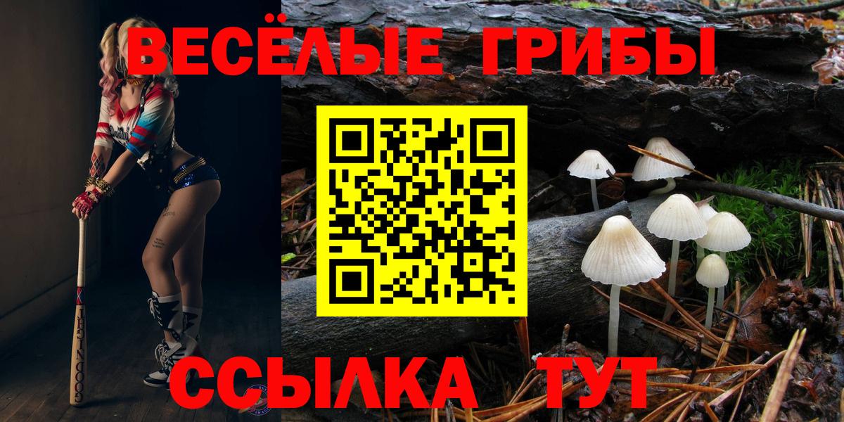 Галлюциногенные грибы Cubensis Мариинск
